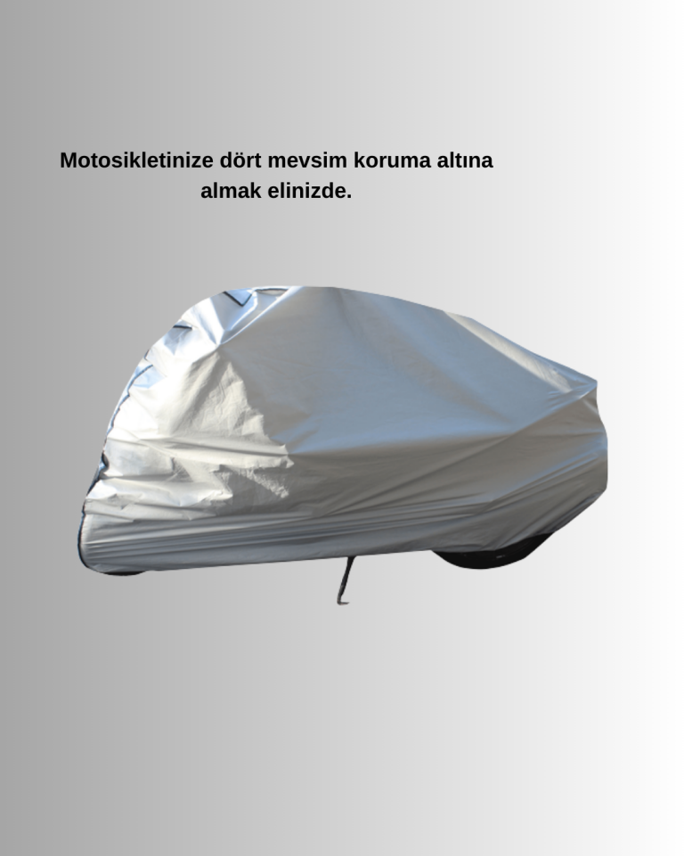 MOTOR BRANDASI - Lisinya