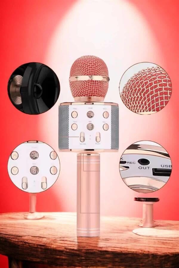 Şarjlı ve Uzun Pil Ömürlü Karaoke Mikrofon USB Bellek Destekli, Profesyonel Ses - Lisinya