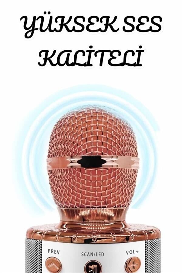 Şarjlı ve Uzun Pil Ömürlü Karaoke Mikrofon USB Bellek Destekli, Profesyonel Ses - Lisinya