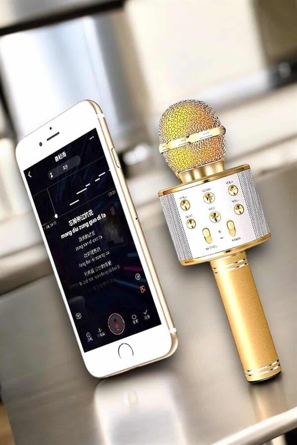 Şarjlı ve Uzun Pil Ömürlü Karaoke Mikrofon USB Bellek Destekli, Profesyonel Ses - Lisinya