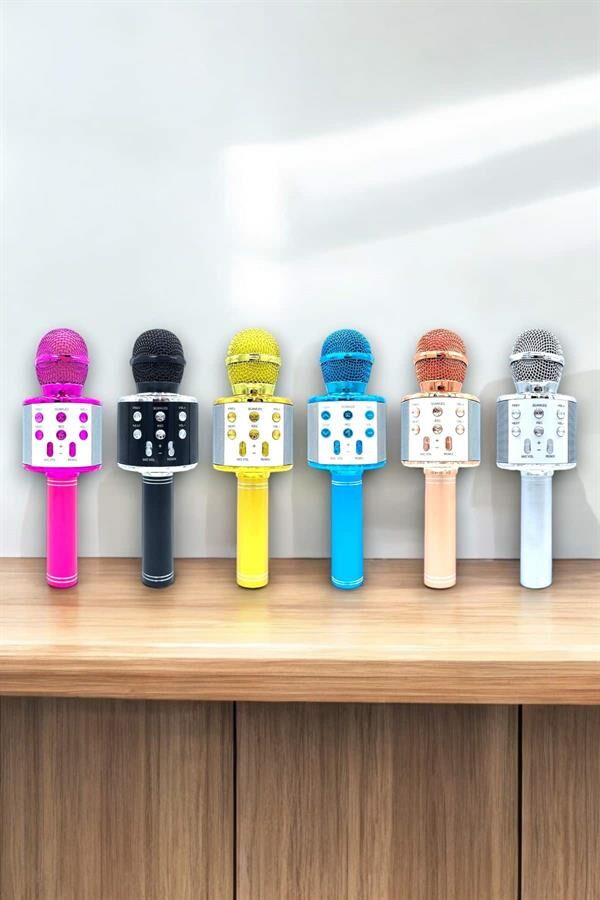 Taşınabilir Bluetooth Karaoke Mikrofon: Hafıza Kart Girişli, Etkileyici Performans - Lisinya