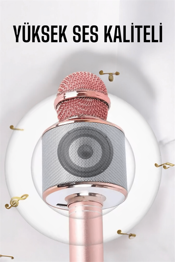 Taşınabilir Bluetooth Karaoke Mikrofon: Hafıza Kart Girişli, Etkileyici Performans - Lisinya
