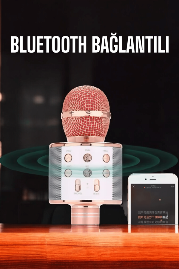 Kablosuz Bluetooth Karaoke Mikrofon USB ve AUX Girişli, Yüksek Ses Kalitesi - Lisinya
