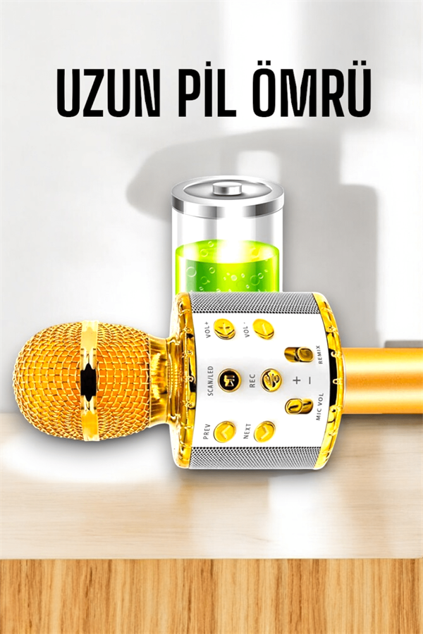 Kablosuz Bluetooth Karaoke Mikrofon USB ve AUX Girişli, Yüksek Ses Kalitesi - Lisinya