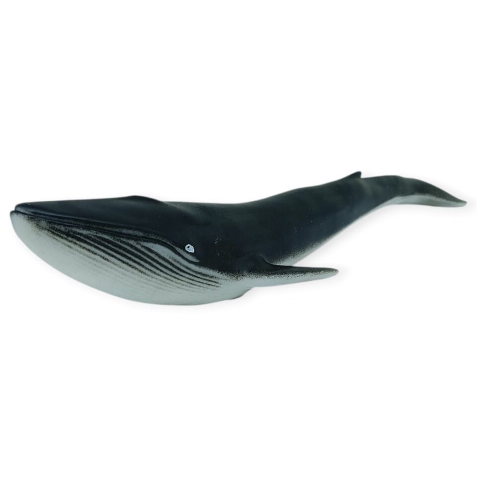 Deniz Hayvanları Serisi - Balina 29 cm (Lisinya)