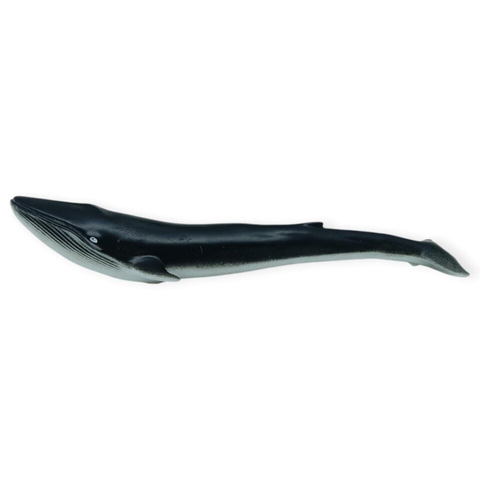 Deniz Hayvanları Serisi - Balina 29 cm (Lisinya)