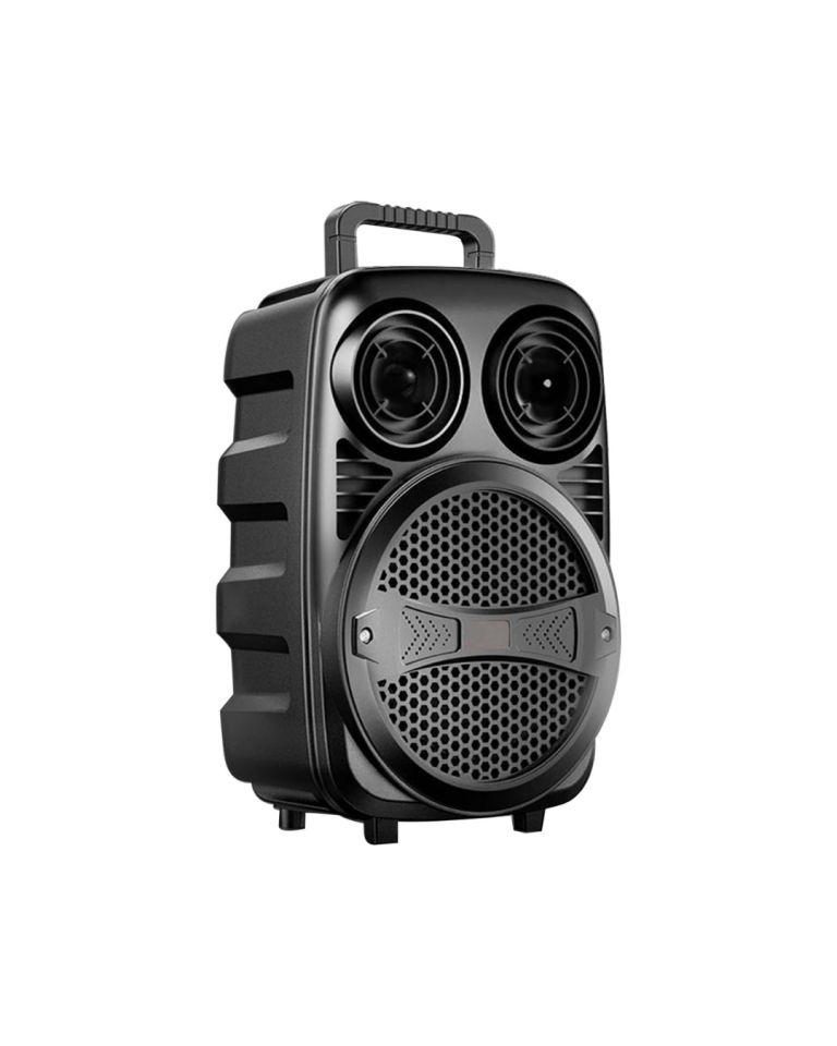 BT612 SPEAKER - Lisinya