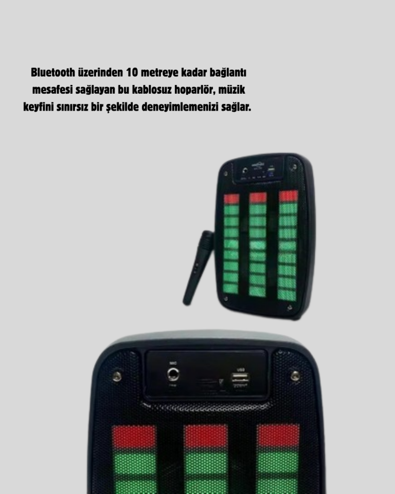 GTS 1793 Işıklı 6.5 İnç Kablosuz Hoparlör Bluetooth, USB ve FM Özellikli - Lisinya