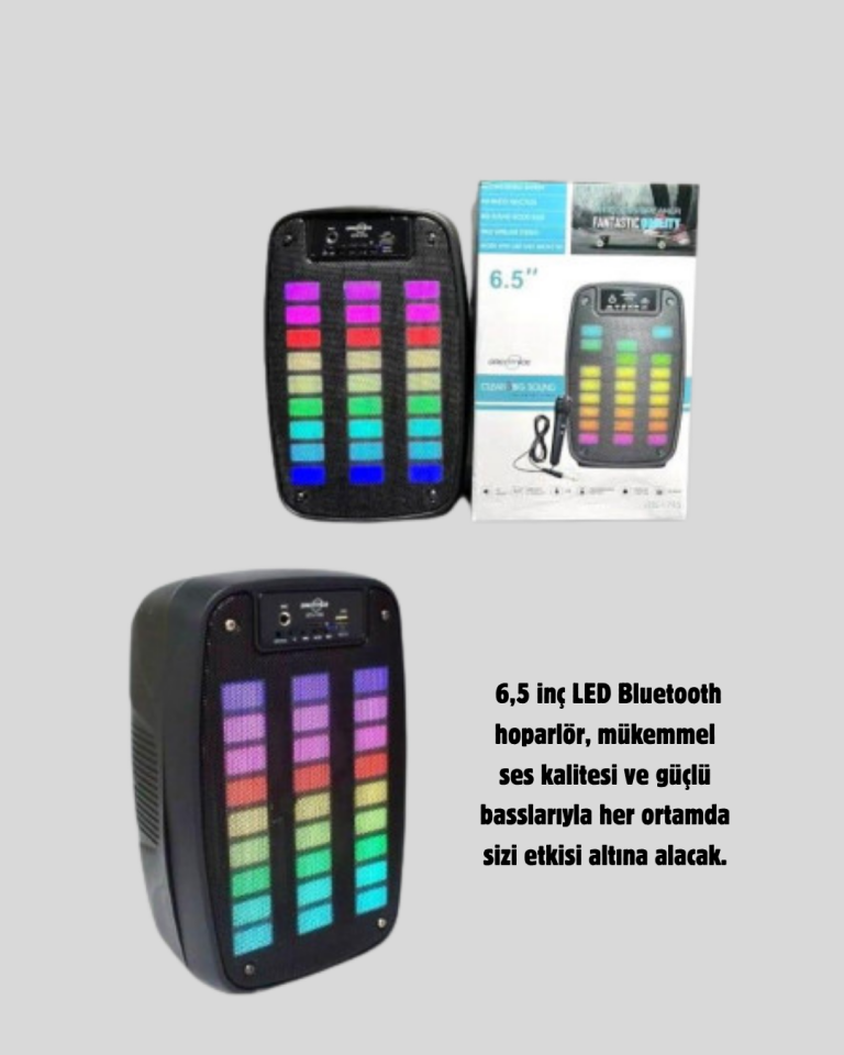 GTS 1793 Işıklı 6.5 İnç Kablosuz Hoparlör Bluetooth, USB ve FM Özellikli - Lisinya