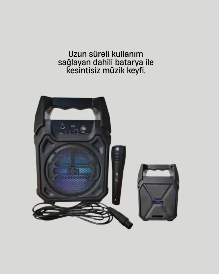 15W Güçlü Ses Çıkışlı Bluetooth Hoparlör FM Radyo ve Mikrofon Destekli - Lisinya