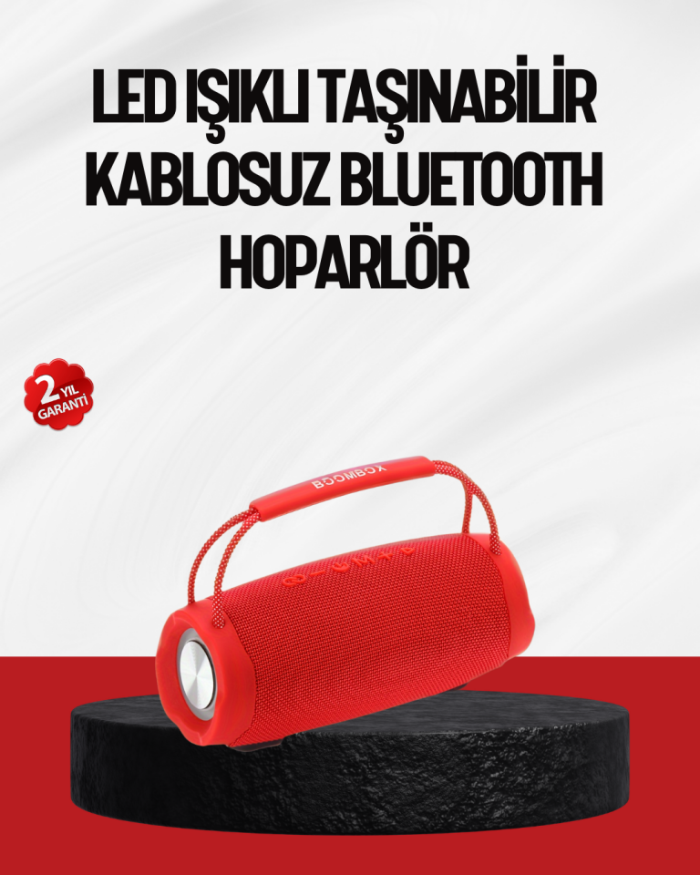 IPX6 Su Geçirmez Bluetooth 5.1 Taşınabilir Hoparlör Çift 10W - Lisinya