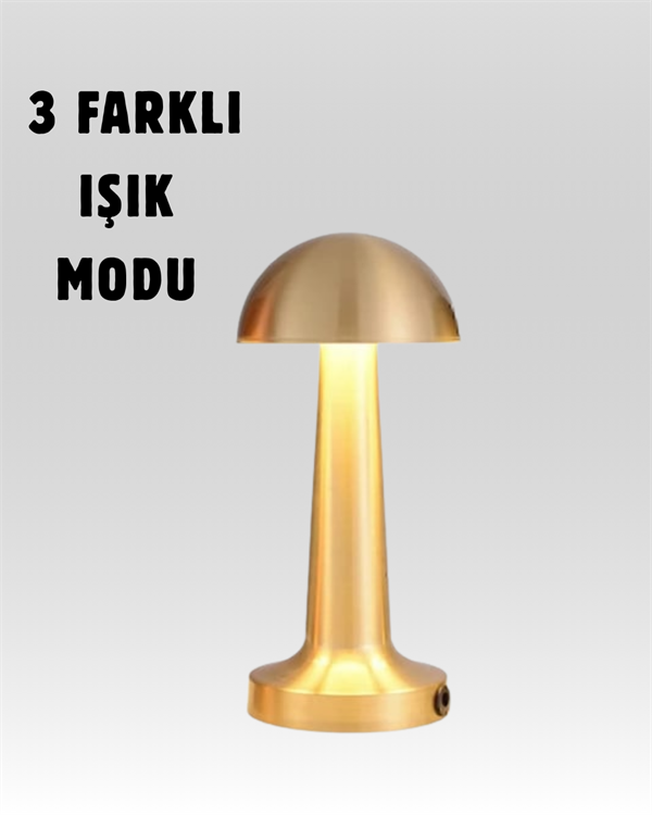 Şarjlı Dimmerli LED Masa Lambası – 4-8 Saat Aydınlatma - Lisinya