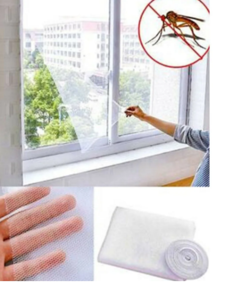 PENCERE SİNEKLİK - Lisinya