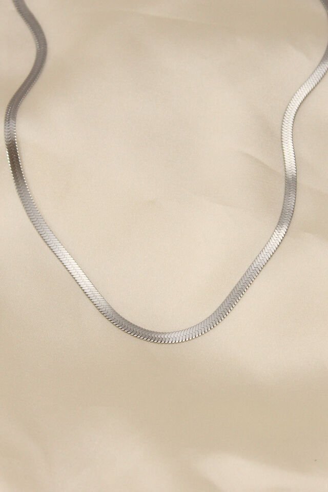 316L Çelik Silver Renk 45 cm İtalyan Zincir Model Kadın Kolye - Lisinya