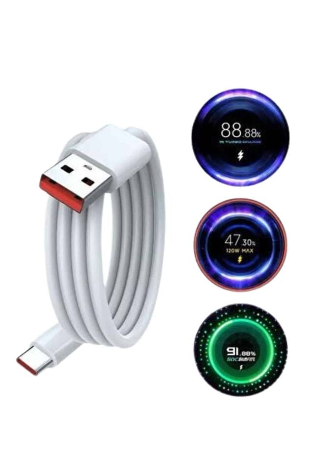 Type C Yüksek Hızlı Şarj Aleti Beyaz 120W Ultra Uzun Ömürlü - Lisinya