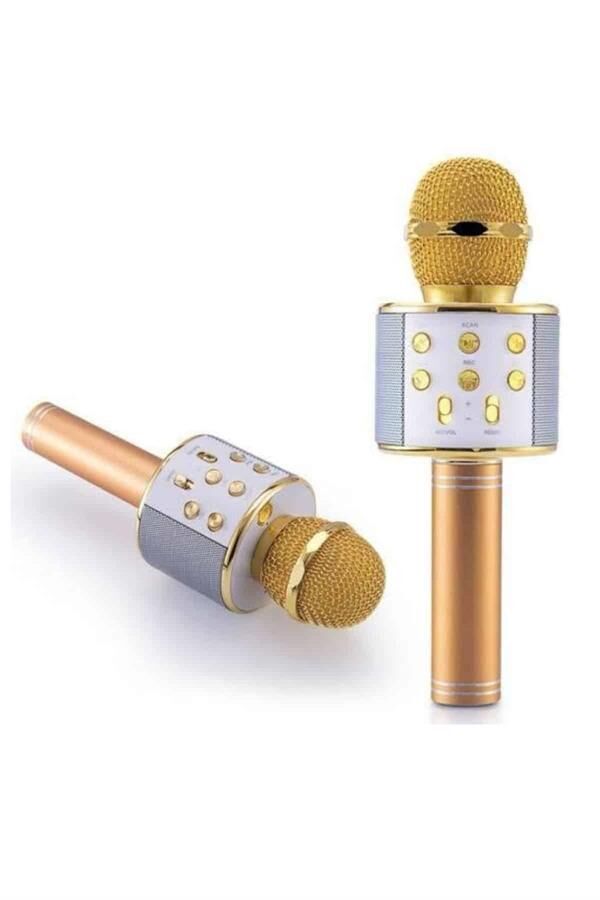Karaoke Mikrofon Dahili Hoparlörlü Sd-usb-aux Girişli Bluetooth Hoparlör - Lisinya