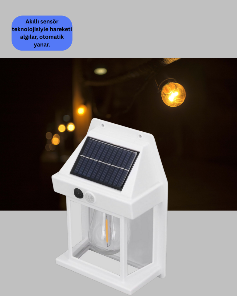 Sensörlü Solar Led Dış Duvar Aydınlatma - Lisinya