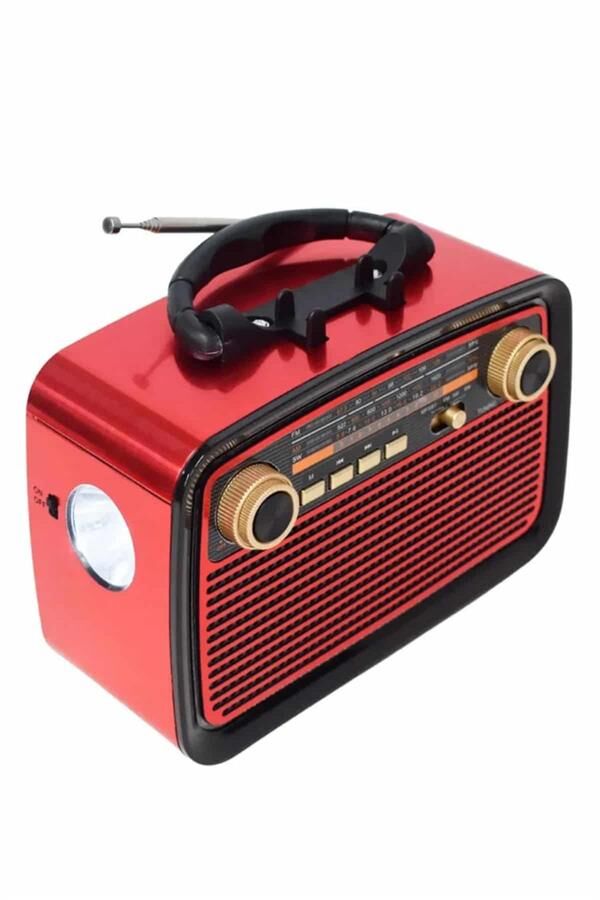 NOSTALJİK RADYO - Lisinya