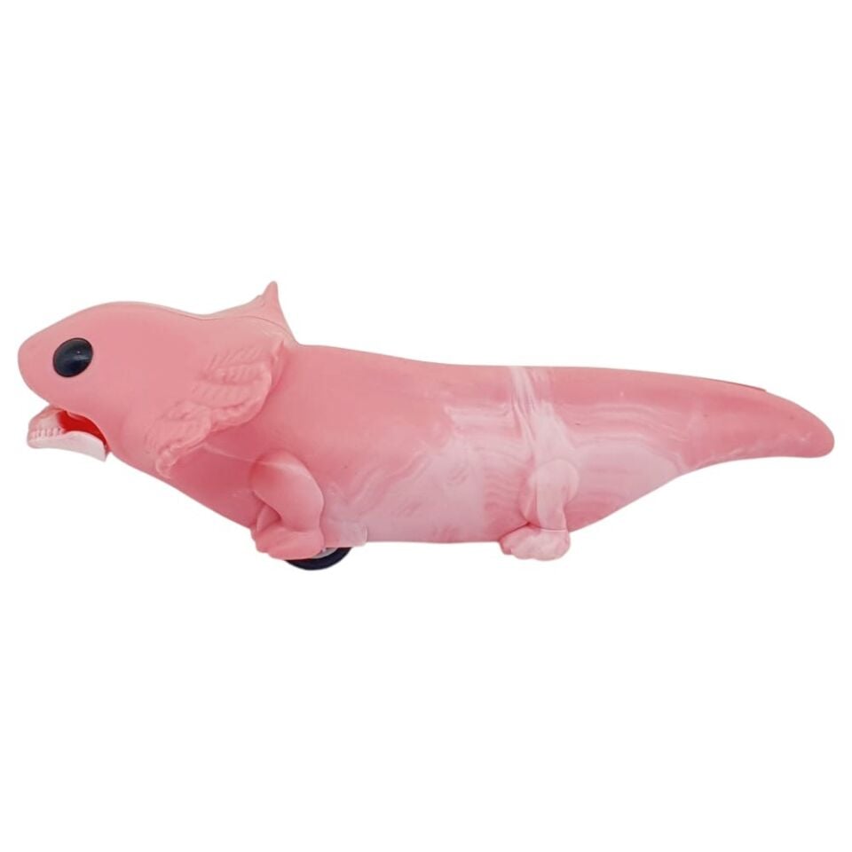 Sürtmeli Sürüngen Hayvanlar Serisi - H-55 - Pembe Semender (Lisinya)