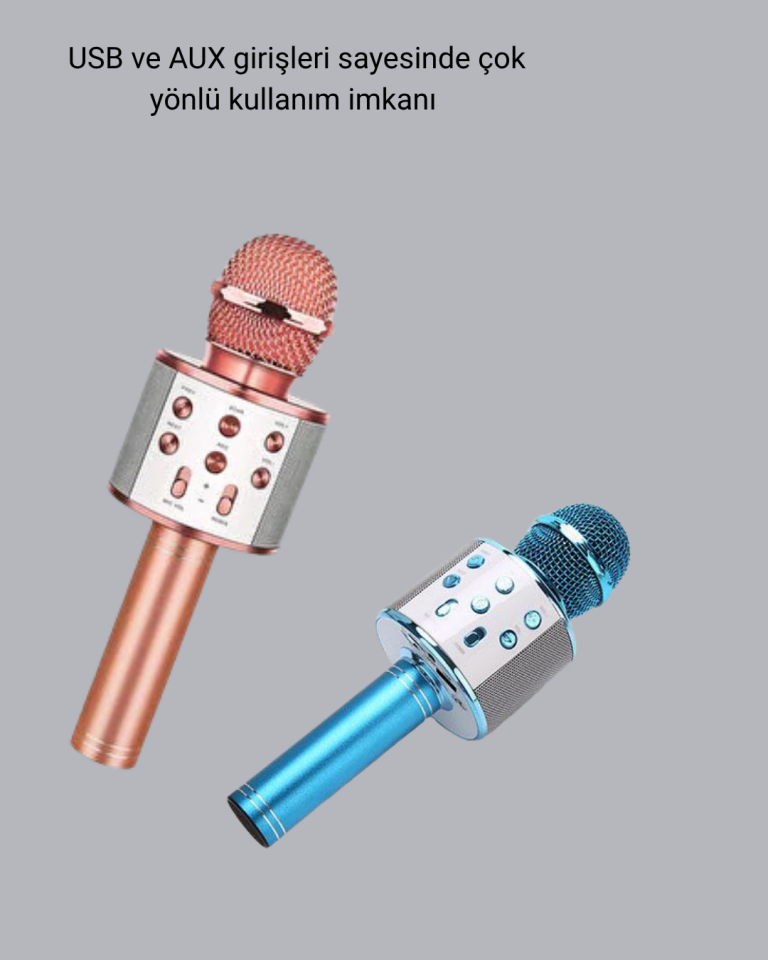 Taşınabilir Karaoke Mikrofon – Bluetooth, USB ve AUX Girişli - Lisinya