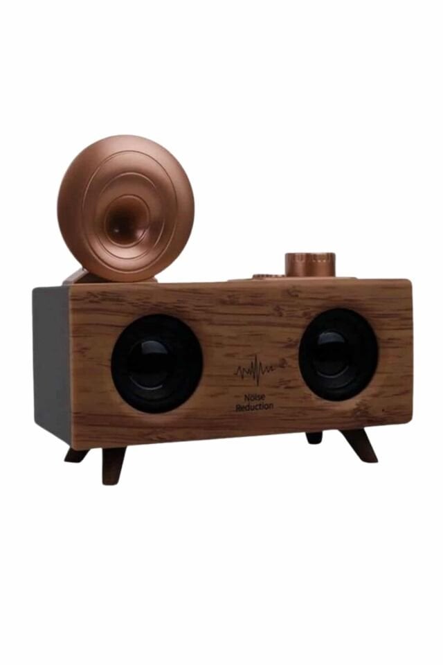 Gramafon Radyo Bluetooth Hoparlör Nostaljik Radyo FM Radyo - Lisinya