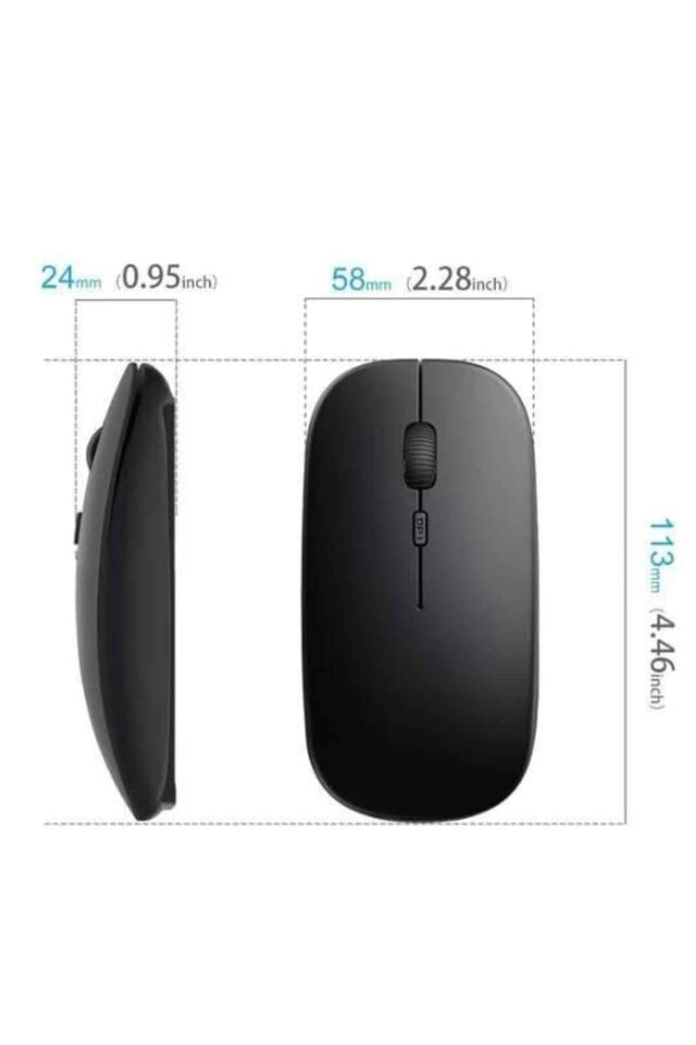 PG-908 MOUSE - Lisinya