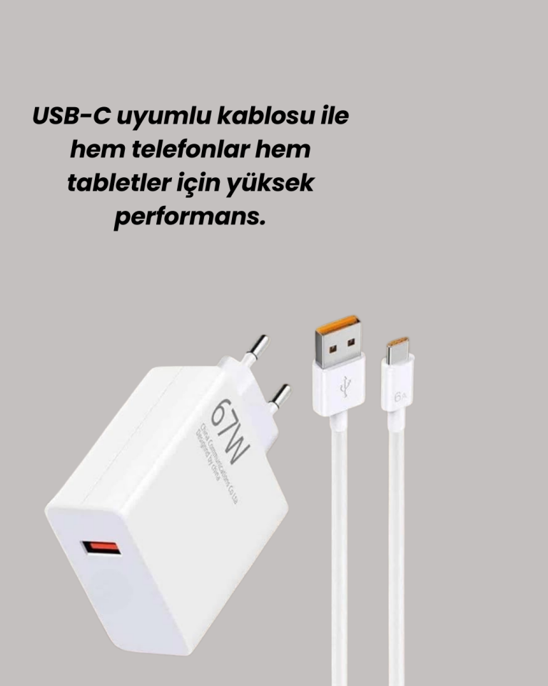 Type-C Uyumlu 67W Turbo Hızlı Şarj Aleti Akıllı Koruma Sistemli - Lisinya
