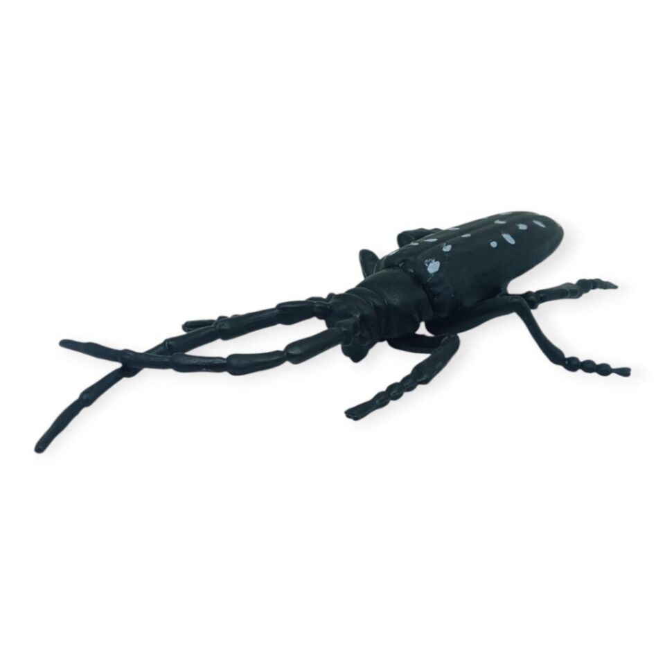 Böcek Figürleri - Gerçekçi Figür - Turunçgil Uzun Boynuzlu Böceği 18 cm (Lisinya)