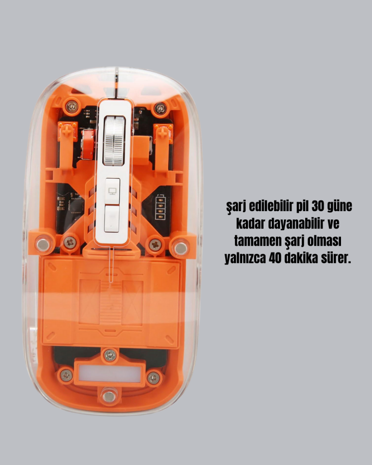 Sessiz ve Ergonomik Kablosuz Fare - 30 Gün Kullanım, 2 Modlu Bağlantı - Lisinya