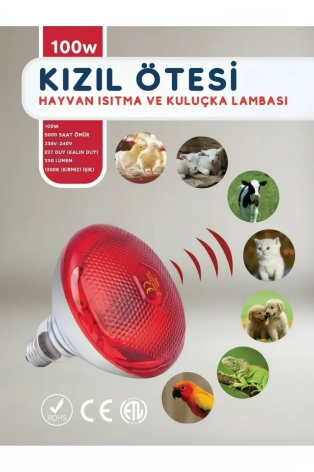 100W Kızılötesi (infrared) Isıtıcılı Hayvan Isıtma ve Kuluçka Lambası (Kırmızı Işık) E27 (Kalın Duy) ( Lisinya )