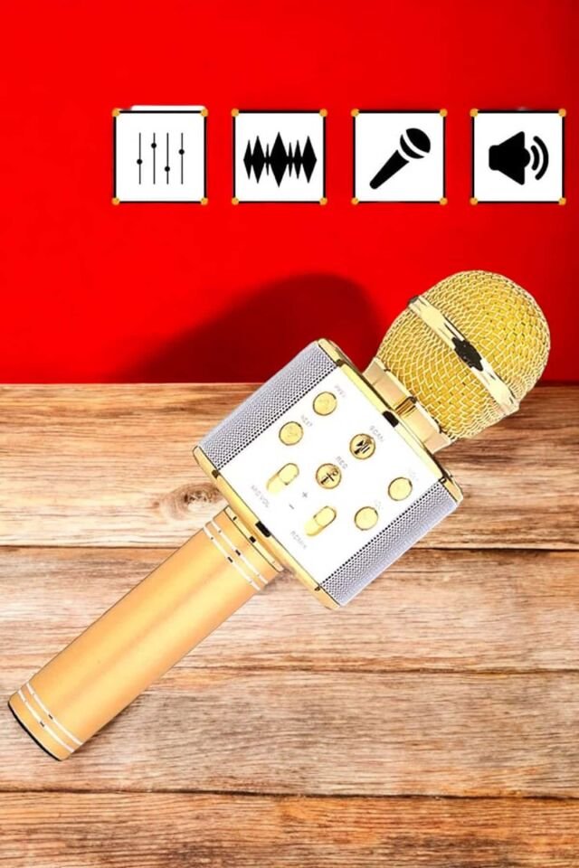 Şarjlı ve Uzun Pil Ömürlü Karaoke Mikrofon USB Bellek Destekli, Profesyonel Ses - Lisinya