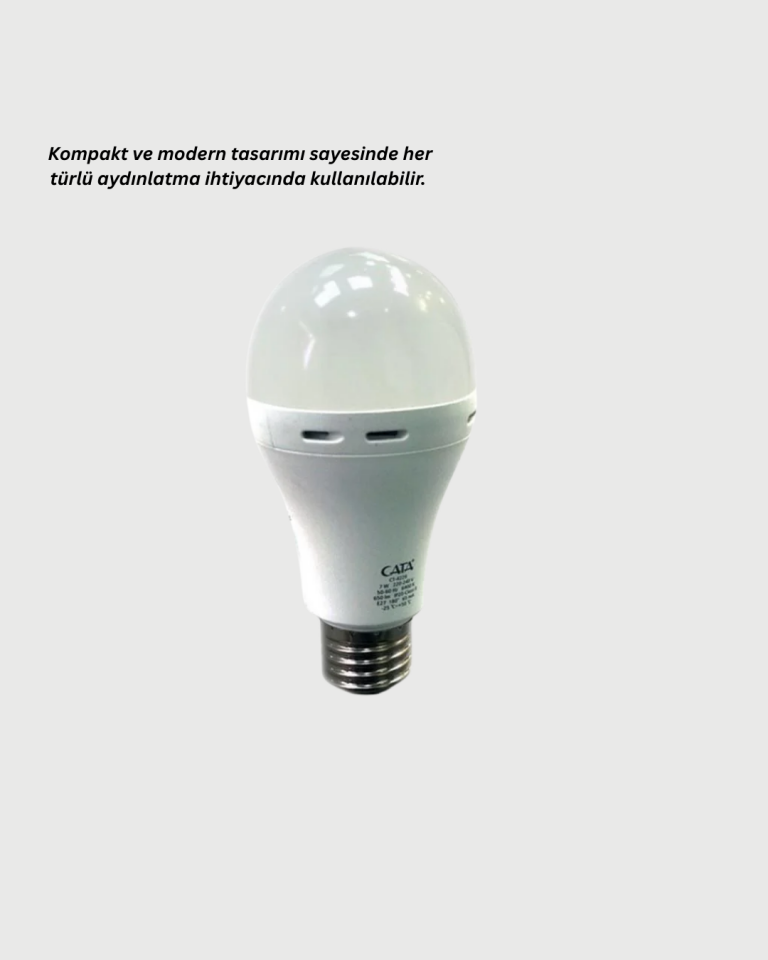 Şarjlı LED Ampul 30 Watt Soğuk Beyaz - Lisinya