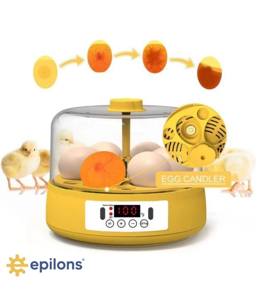 Mini Otomatik Ev Tipi Kuluçka: Papağan Bıldırcın Kuluçka Makinesi 18li Yumurtalı MX-18 ( Lisinya )