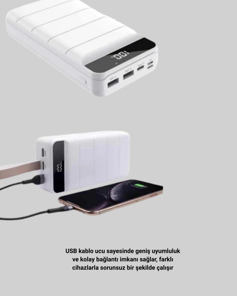 22.5W PD Destekli Taşınabilir Şarj Cihazı Çoklu Çıkışlı Model Powerbank - Lisinya