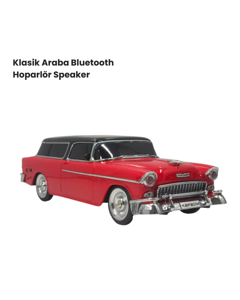 WS-1955 Bluetooth Hoparlör - Lisinya