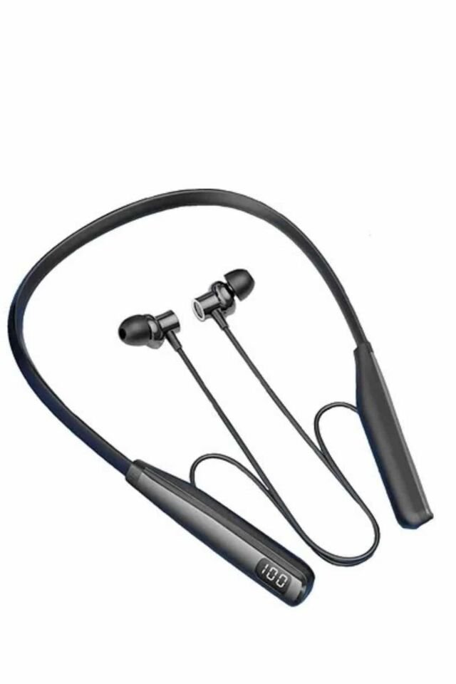 100 SAAT  KULAKLİK - Lisinya