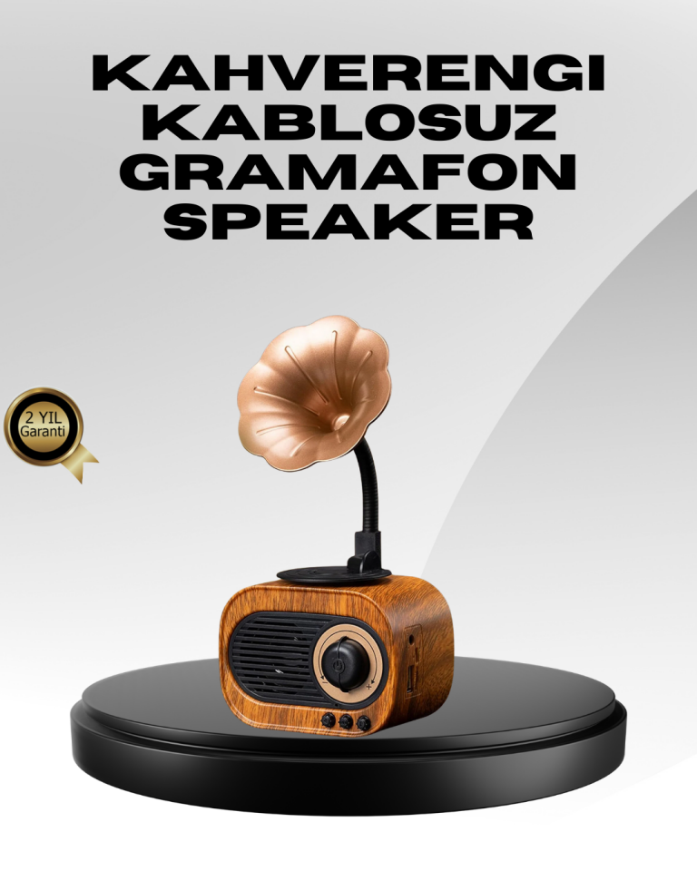 Kablosuz Retro Radyo Hoparlör 5W Güçlü Ses USB Hafıza Kart Destekli - Lisinya