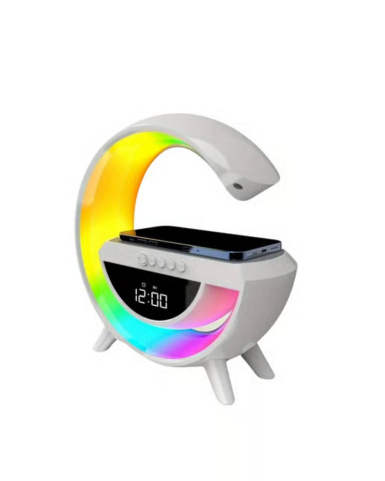BT3401 GOOGLE DİGİTAL - Lisinya