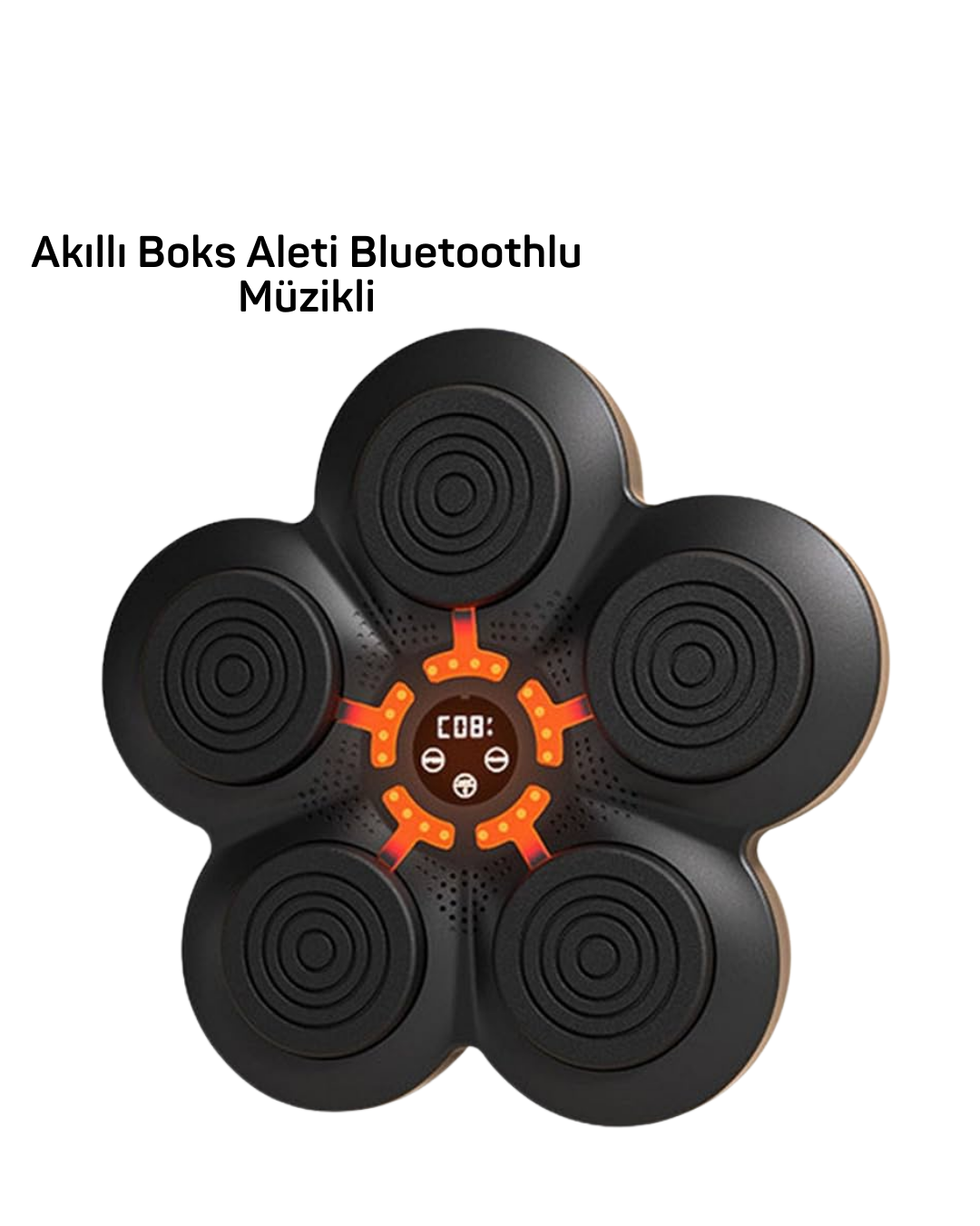 MÜZİK BOX MAKİNESİ - Lisinya
