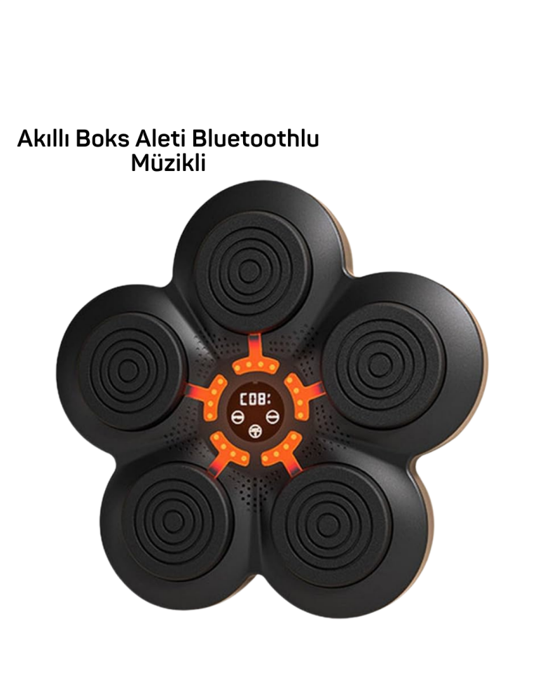 MÜZİK BOX MAKİNESİ - Lisinya