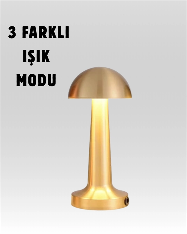 %100 Kademeli Ayarlanabilir Işık – USB Şarjlı Masa Lambası ( Lisinya )