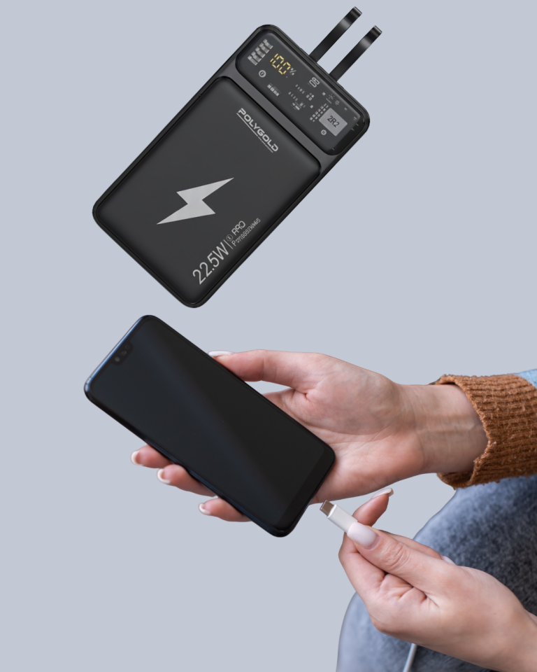 Powerbank Dahili Ekranlı 10000 mAh Çift Kablolu - Lisinya