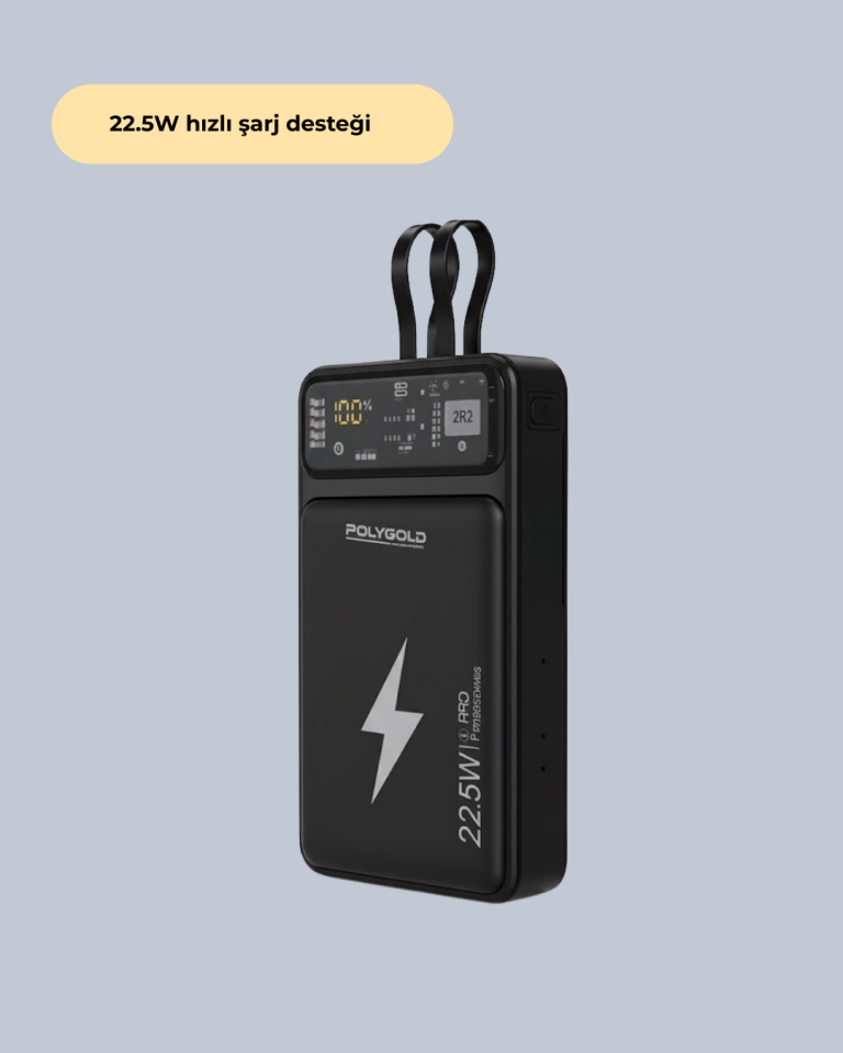 Powerbank Dahili Ekranlı 10000 mAh Çift Kablolu - Lisinya