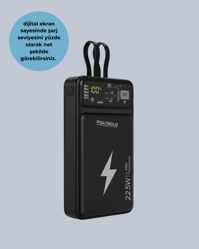 Powerbank Dahili Ekranlı 10000 mAh Çift Kablolu - Lisinya
