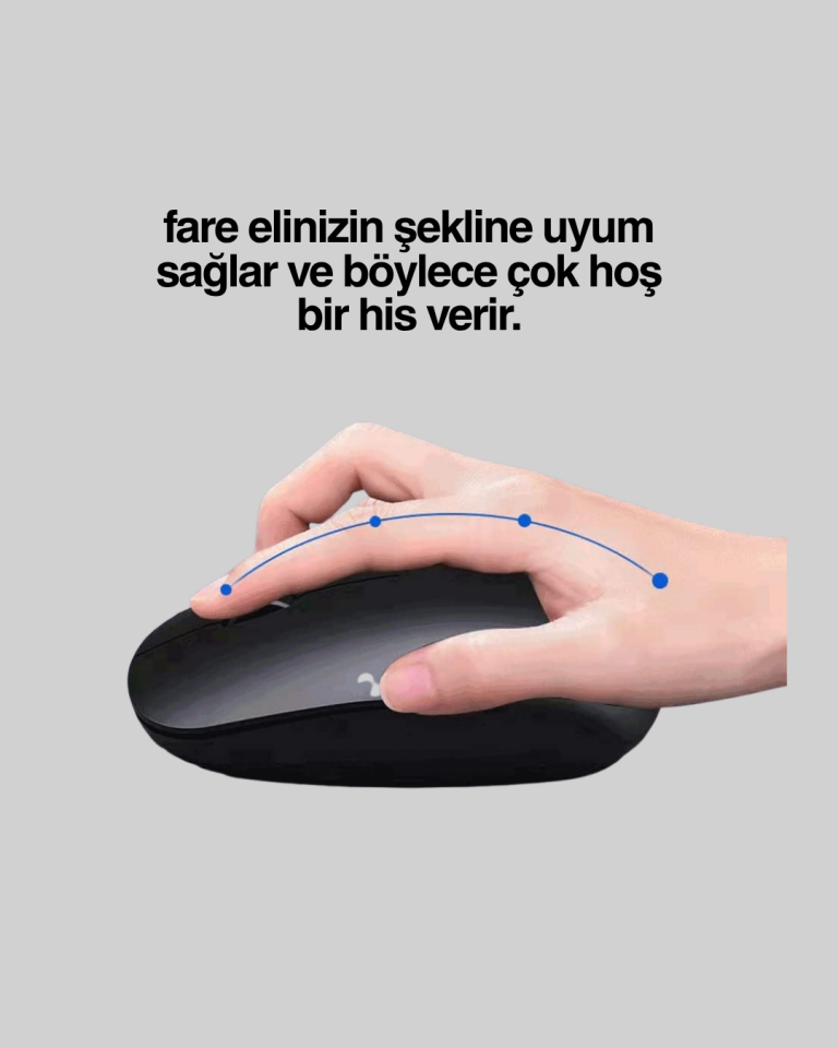 Kablosuz Sessiz Mouse – Ayarlanabilir DPI ve USB Bağlantılı - Lisinya