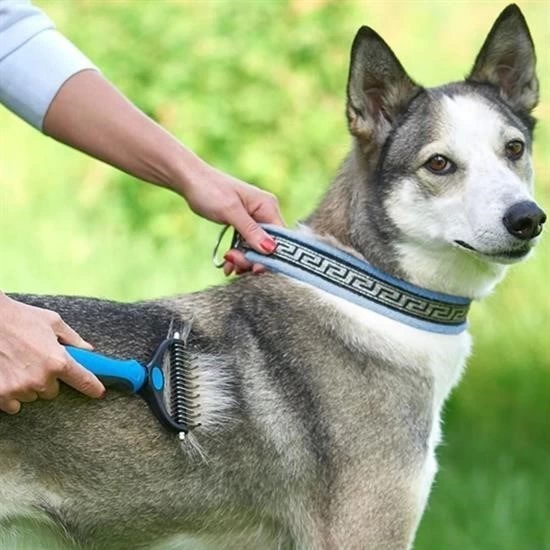 Plastik Saplı Metal Kedi Köpek Bakım Kıtık Tüy Topak Açıcı Tarak ( Lisinya )