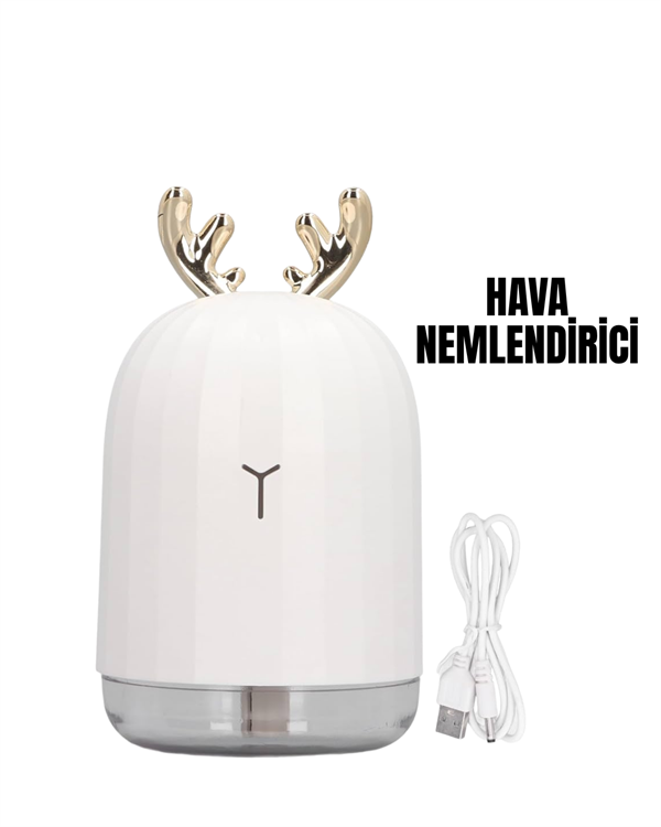 TVSN HAVA NEMLENDİRİCİSİ - Lisinya