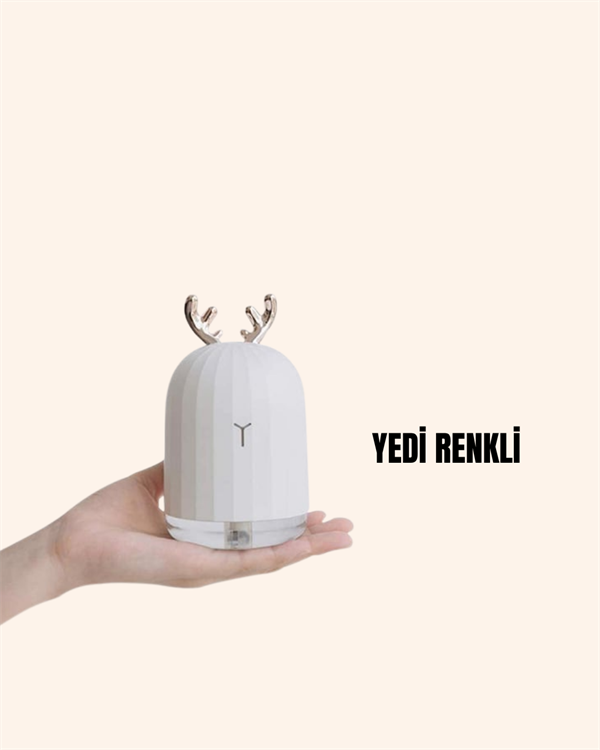 TVSN HAVA NEMLENDİRİCİSİ - Lisinya