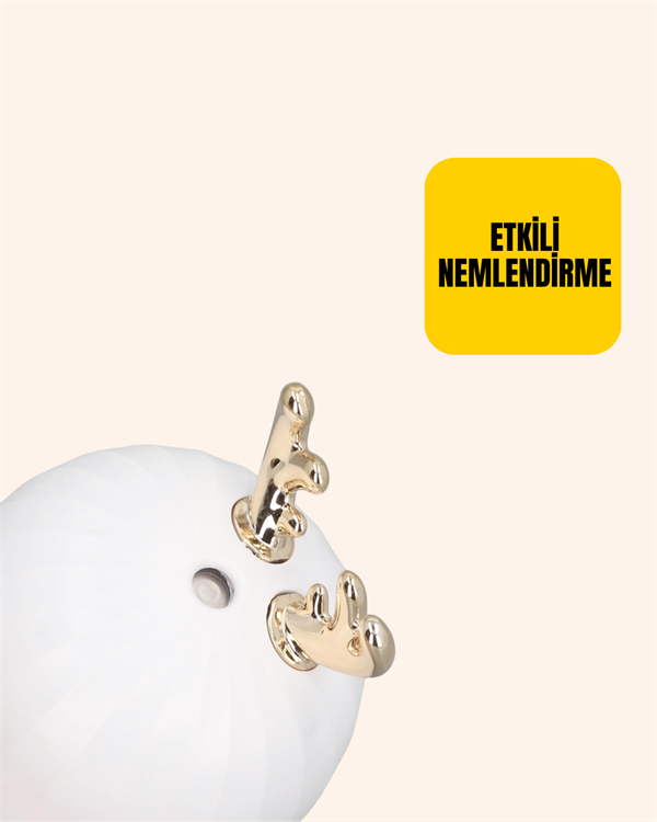 TVSN HAVA NEMLENDİRİCİSİ - Lisinya