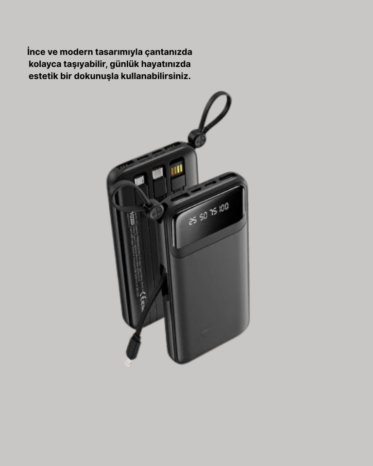 Çoklu Güvenlik Korumalı 20.000 mAh Powerbank Fener Özellikli - Lisinya